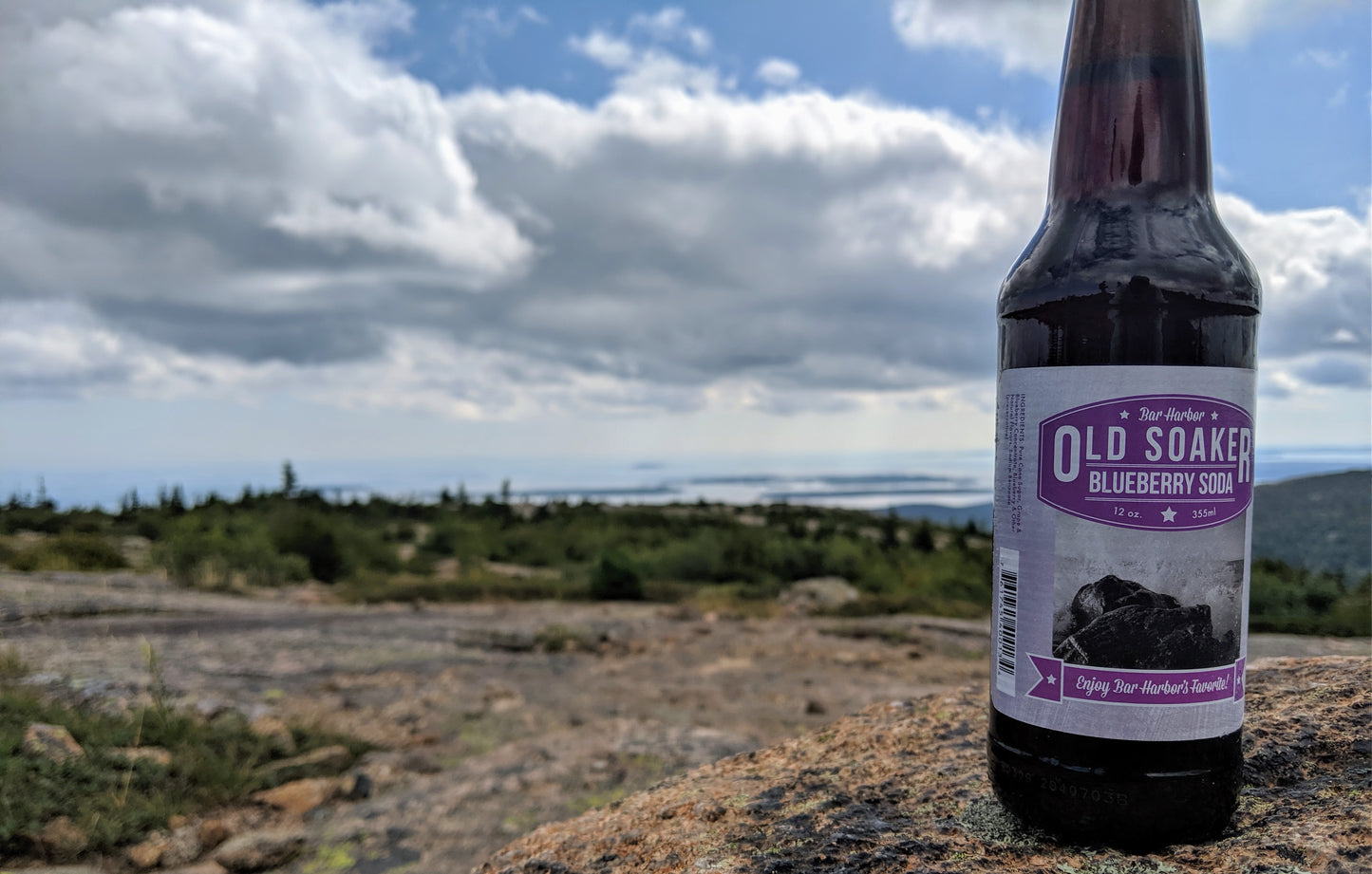 Blueberry Soda, Pack of 24